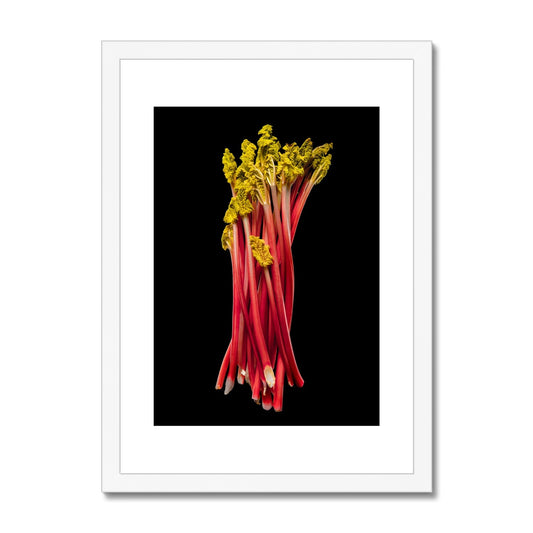 Rhubarb on black background Framed & Mounted Print