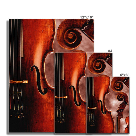 Cello Fine Art Print