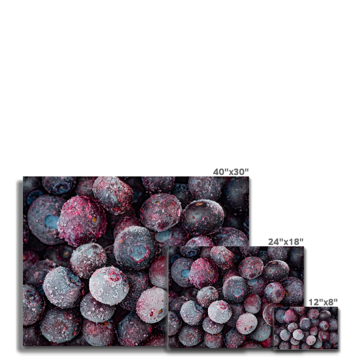 Close up of frozen blueberries Canvas