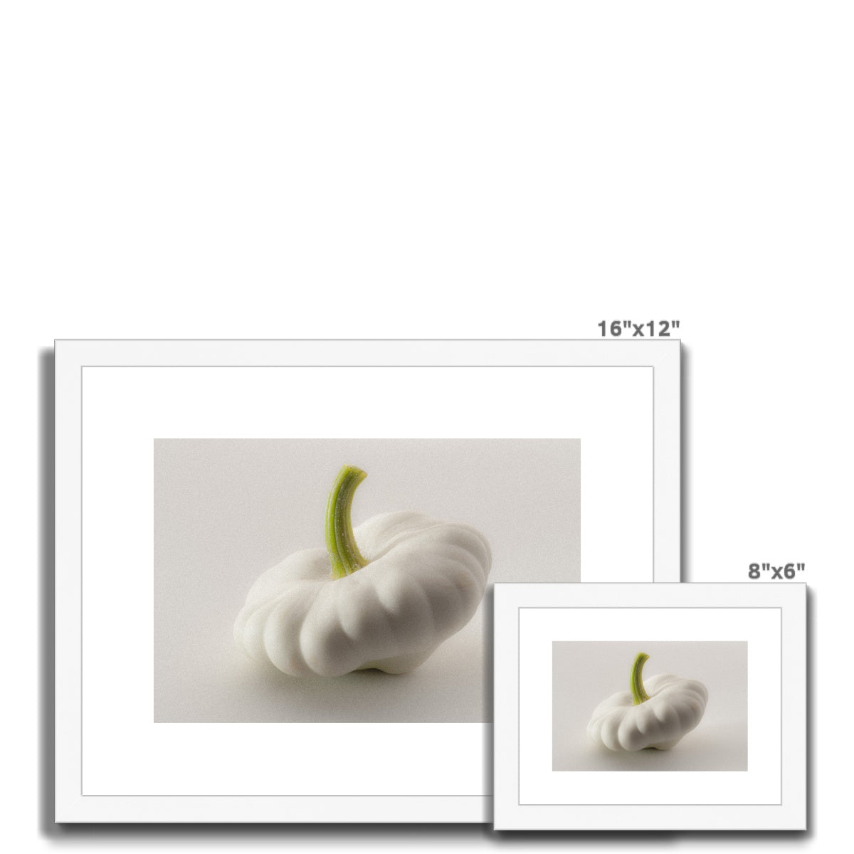 White pattypan squash on a white background Framed & Mounted Print