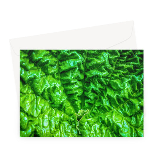 Close-up of the textured surface of a vivid green young rhubarb leaf Greeting Card