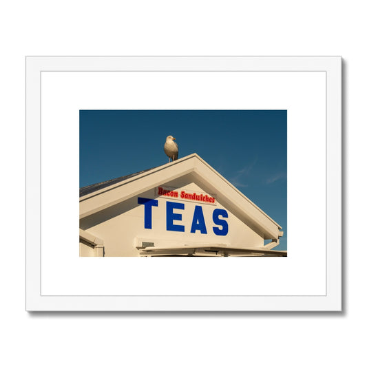 Seagull sitting on the roof of a catering kiosk selling tea and bacon sandwiches, Whitby, UK. Framed & Mounted Print