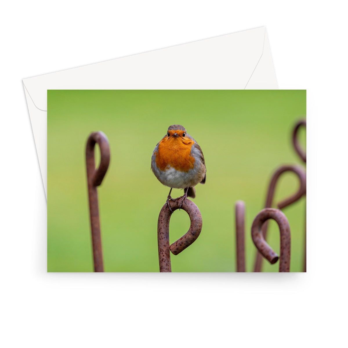 Robin sitting on a rusty metal stake in winter Greeting Card