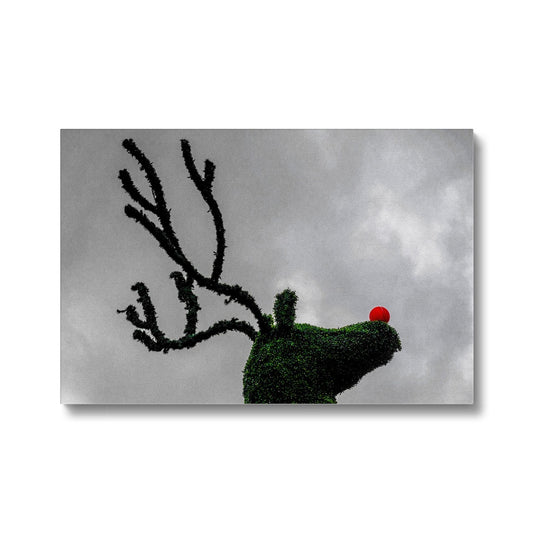 Topiary Christmas reindeer with red nose, Covent Garden, London, UK. Canvas