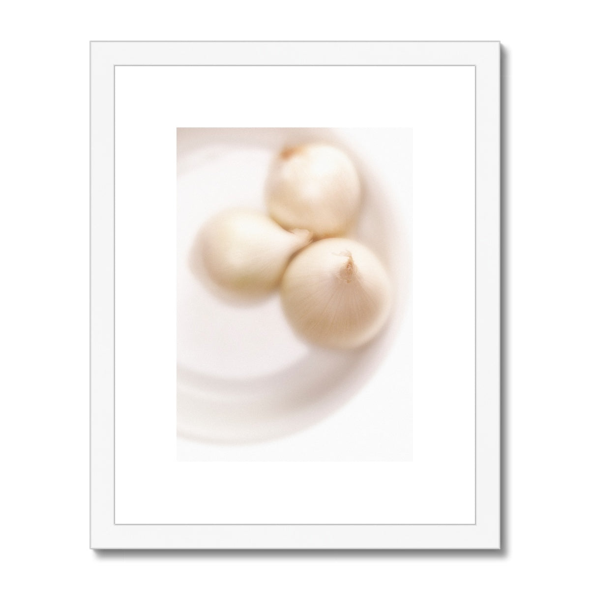 Three white onions on white plate Framed & Mounted Print