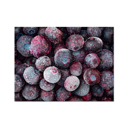 Close up of frozen blueberries Fine Art Print