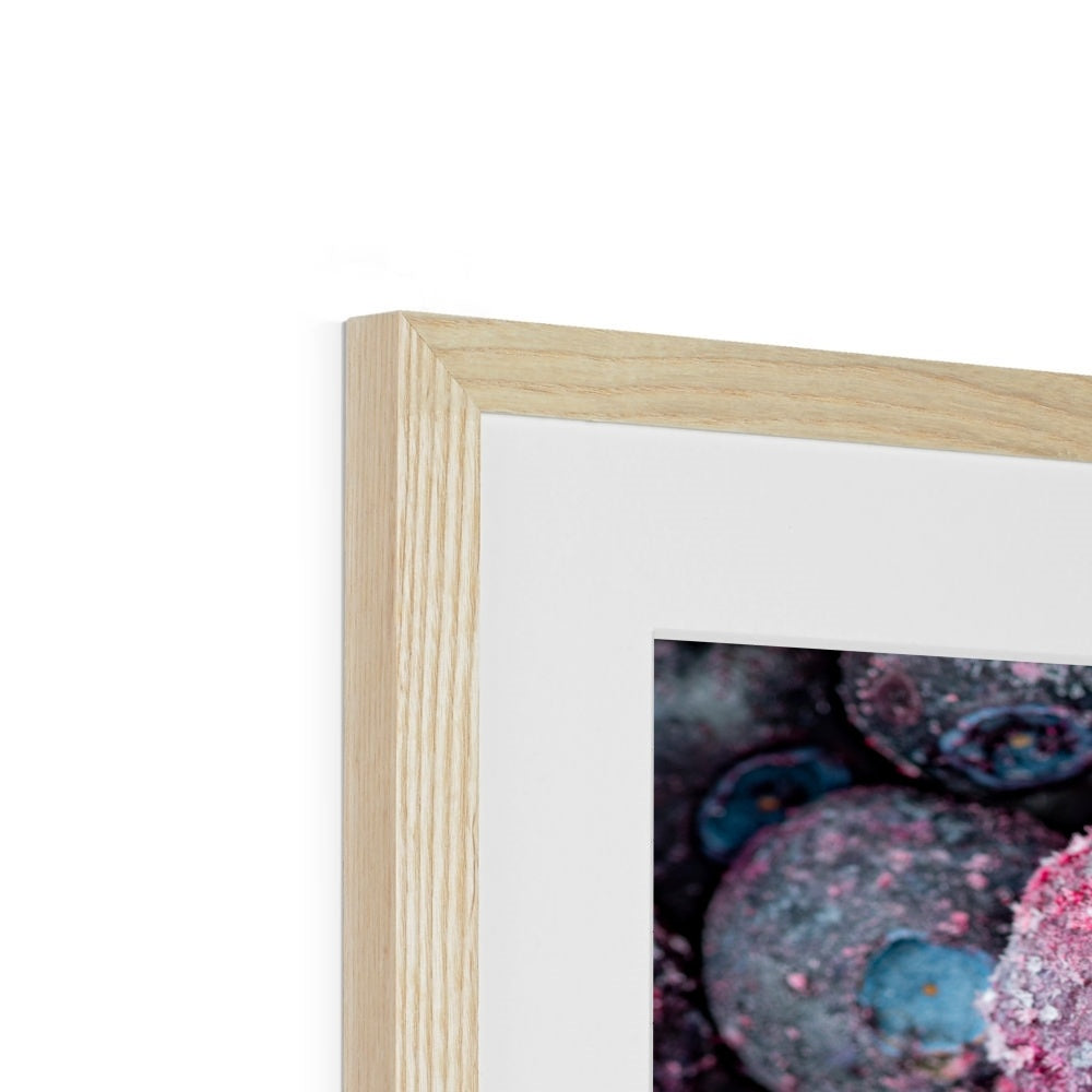 Close up of frozen blueberries Framed & Mounted Print