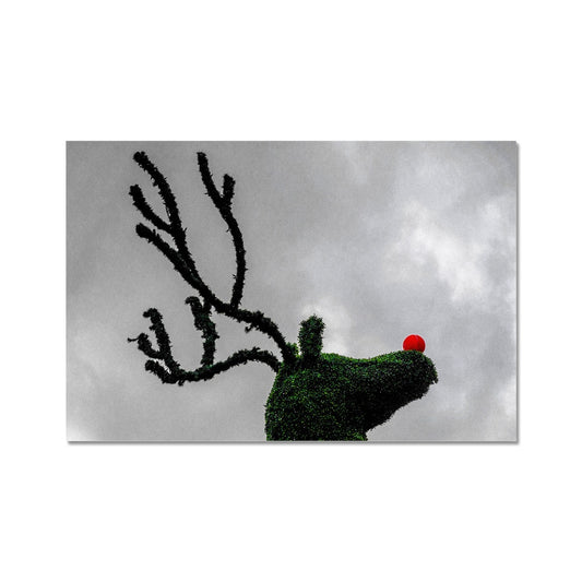 Topiary Christmas reindeer with red nose, Covent Garden, London, UK. Fine Art Print