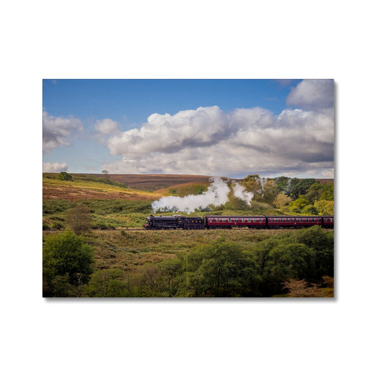 Steam Train: LNER Thompson Class B1 No. 1264  on the North Yorkshire Moors in summer. UK Canvas