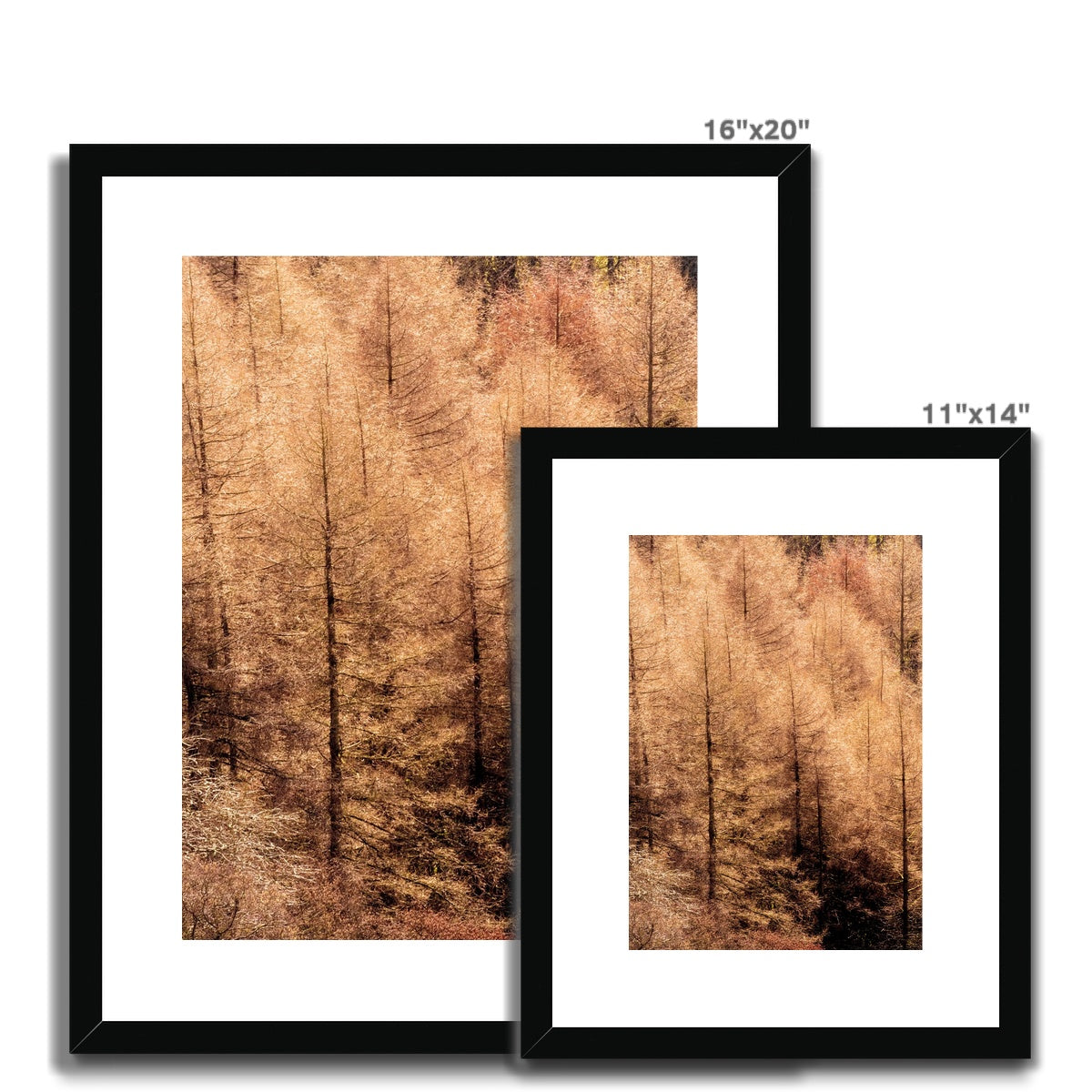 Winter trees Framed & Mounted Print