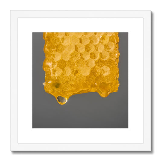 Natural honeycomb full of honey Framed & Mounted Print