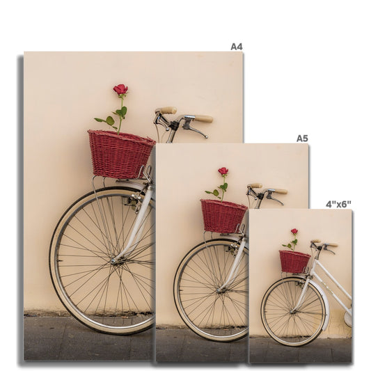 White bicycle parked against a  rendered wall with a red rose in its basket, Rome, Italy. Fine Art Print
