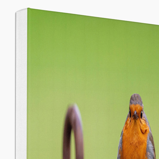 Robin sitting on a rusty metal stake in winter Canvas