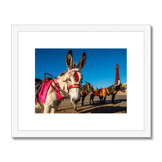 Donkeys on beach with Blackpool Tower Framed & Mounted Print