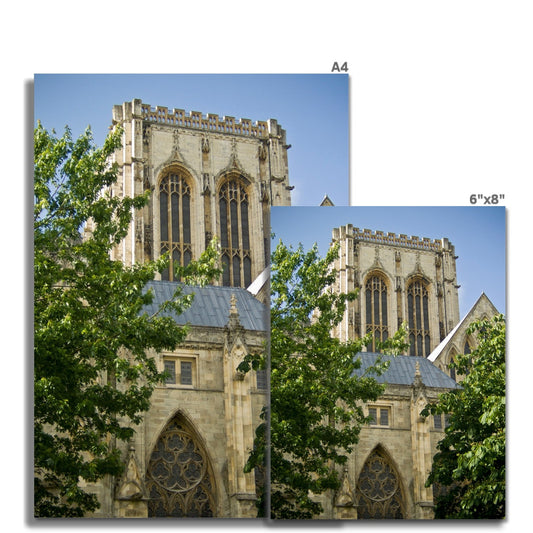 York Minster seen from Dean's Park, York, North Yorkshire, UK Fine Art Print