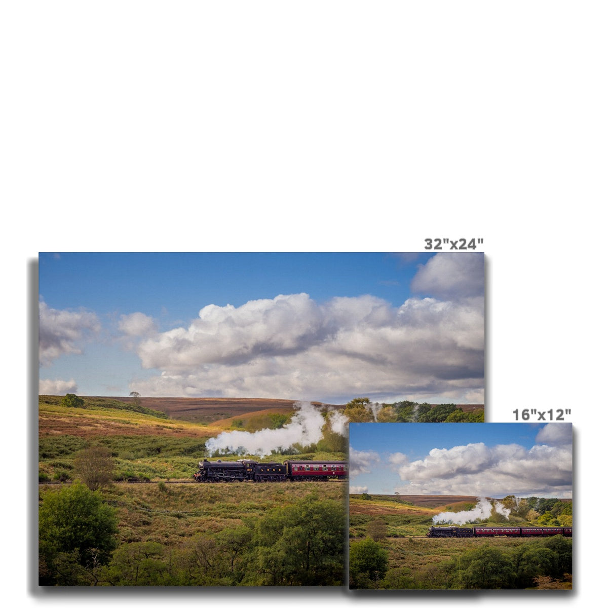 Steam Train: LNER Thompson Class B1 No. 1264  on the North Yorkshire Moors in summer. UK Canvas