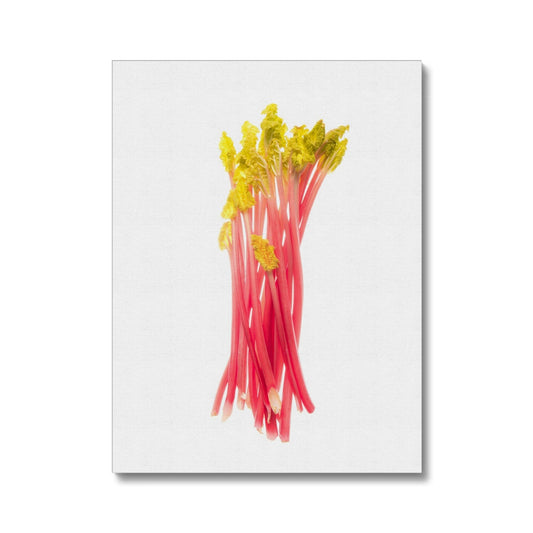 Early forced rhubarb Canvas