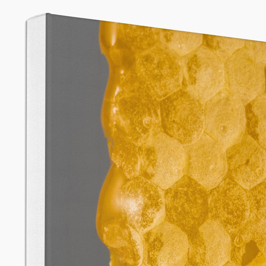 Natural honeycomb full of honey Canvas