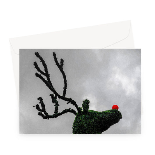 Topiary Christmas reindeer with red nose, Covent Garden, London, UK. Greeting Card