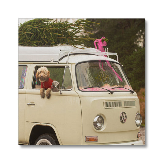 1972 VW Bay Window Campervan parked with with Christmas tree on roof and Cockapoo dog looking out of window. Canvas