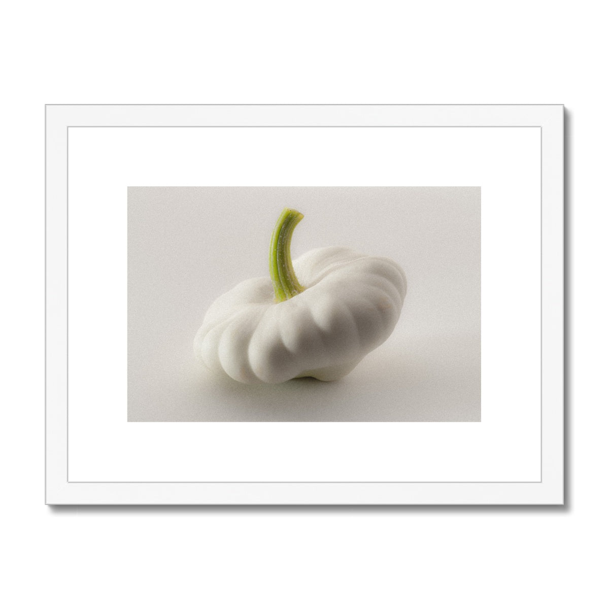 White pattypan squash on a white background Framed & Mounted Print