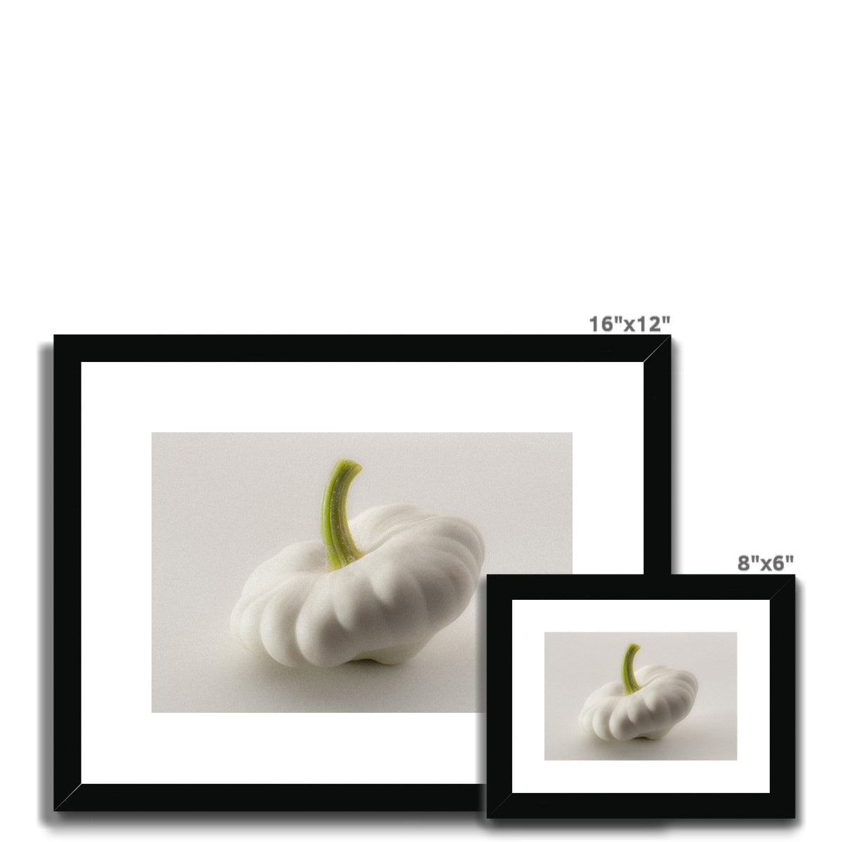 White pattypan squash on a white background Framed & Mounted Print