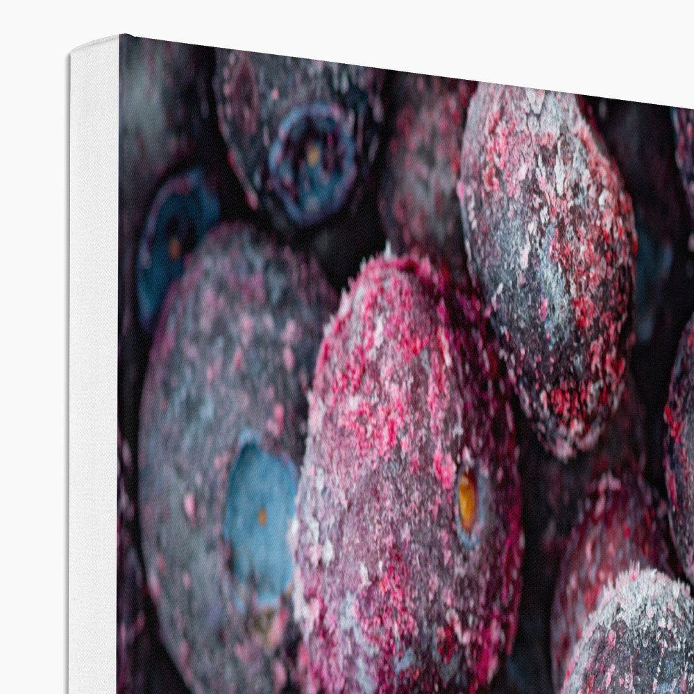 Close up of frozen blueberries Canvas