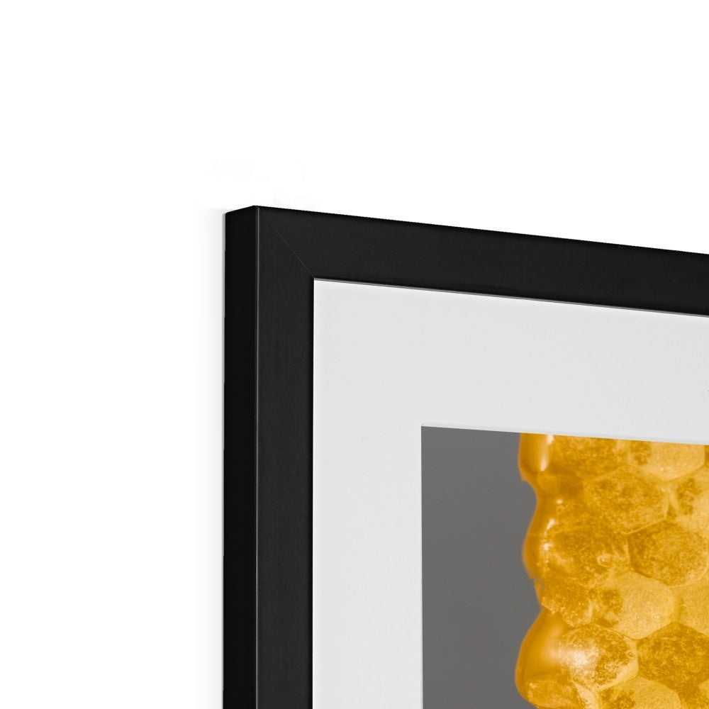 Natural honeycomb full of honey Framed & Mounted Print