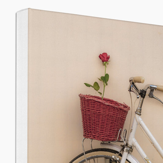 White bicycle parked against a  rendered wall with a red rose in its basket, Rome, Italy. Canvas