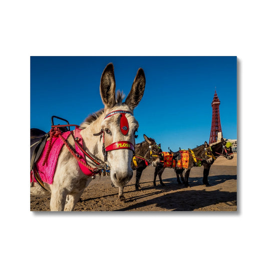Donkeys on beach with Blackpool Tower Canvas
