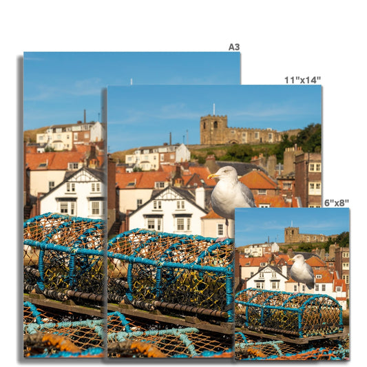 Seagull standing on a lobster trap on the quayside of Whitby harbour with St Mary's church in the distance. Whitby, UK. Fine Art Print