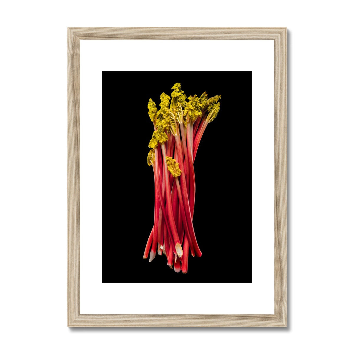 Rhubarb on black background Framed & Mounted Print