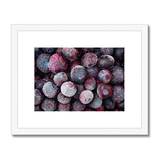 Close up of frozen blueberries Framed & Mounted Print