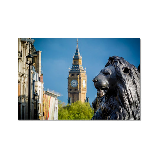 Lion statue in Trafalgar Square, with Big ben in background, London. Fine Art Print