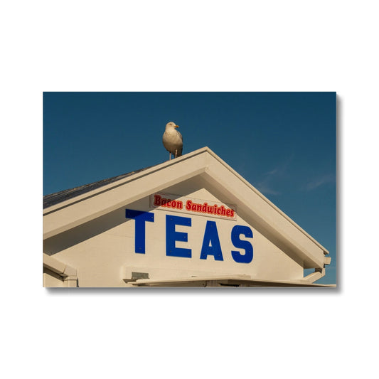 Seagull sitting on the roof of a catering kiosk selling tea and bacon sandwiches, Whitby, UK. Canvas