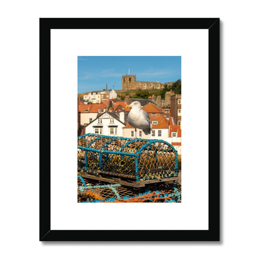 Seagull standing on a lobster trap on the quayside of Whitby harbour with St Mary's church in the distance. Whitby, UK. Framed & Mounted Print