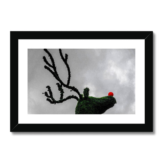 Topiary Christmas reindeer with red nose, Covent Garden, London, UK. Framed & Mounted Print