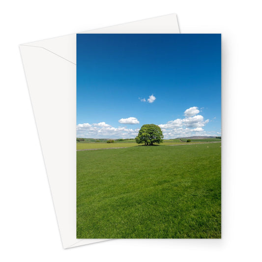 Single Tree, Yorkshire Dales Landscape Greeting Card