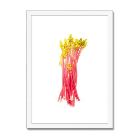 Early forced rhubarb Framed & Mounted Print