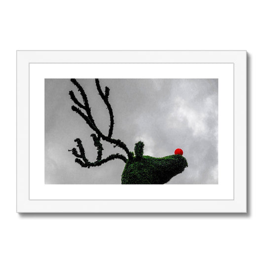 Topiary Christmas reindeer with red nose, Covent Garden, London, UK. Framed & Mounted Print