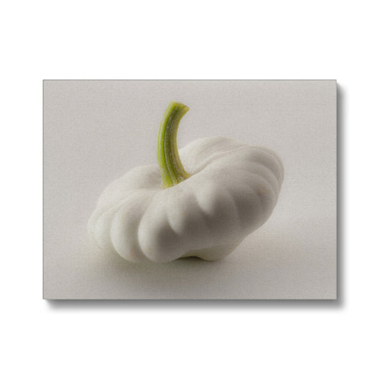 White pattypan squash on a white background Canvas