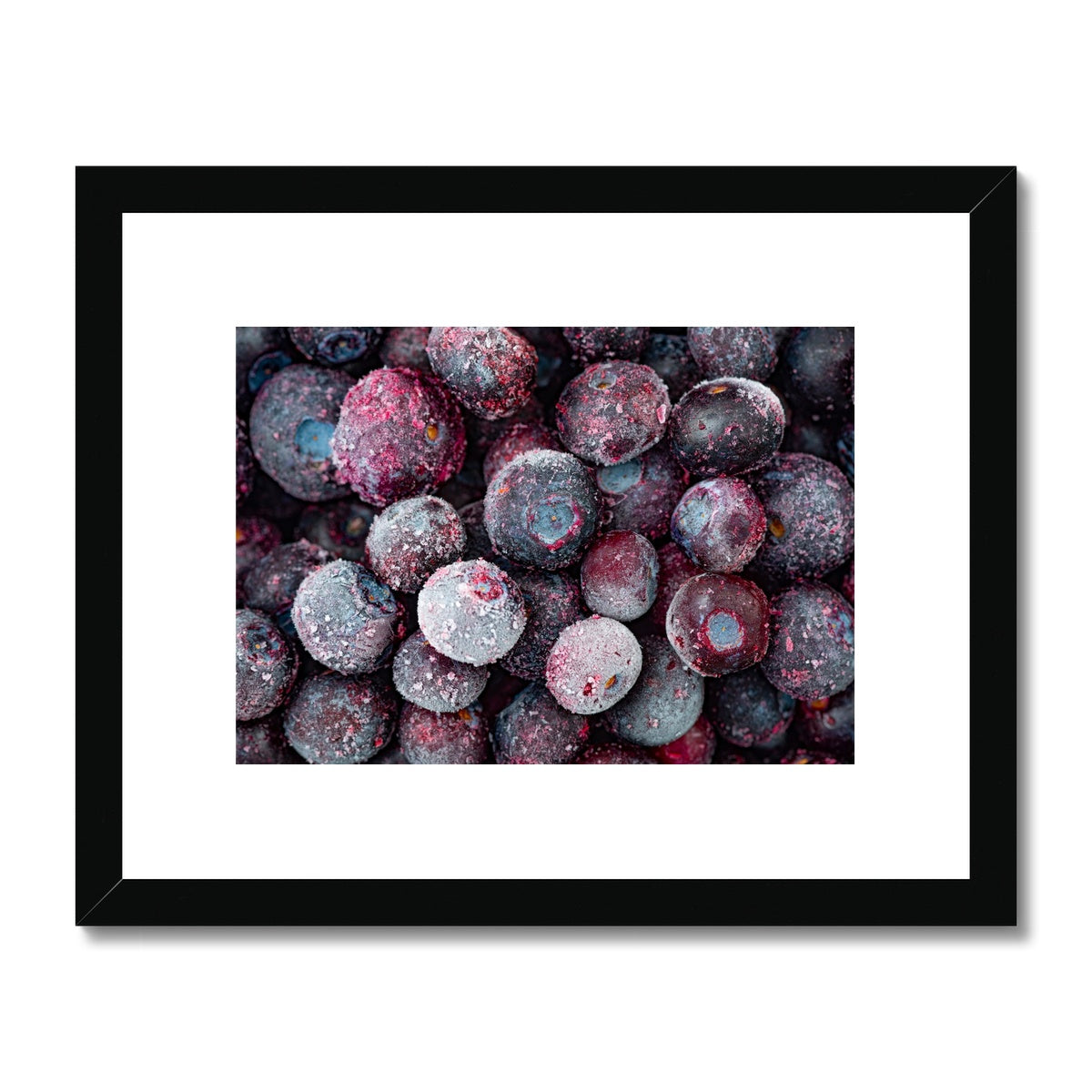 Close up of frozen blueberries Framed & Mounted Print