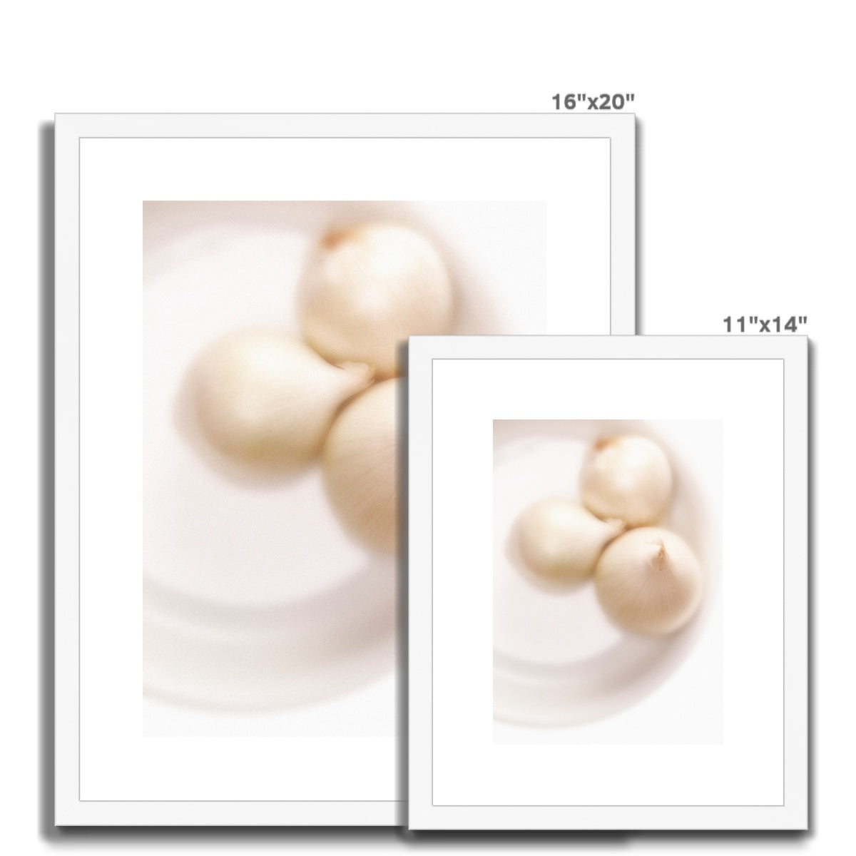 Three white onions on white plate Framed & Mounted Print