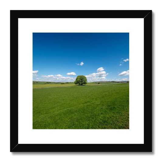 Single Tree, Yorkshire Dales Landscape Framed & Mounted Print