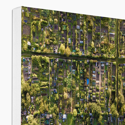 Aerial view of allotments Canvas