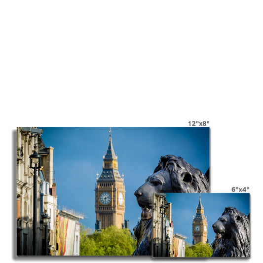 Lion statue in Trafalgar Square, with Big ben in background, London. Fine Art Print