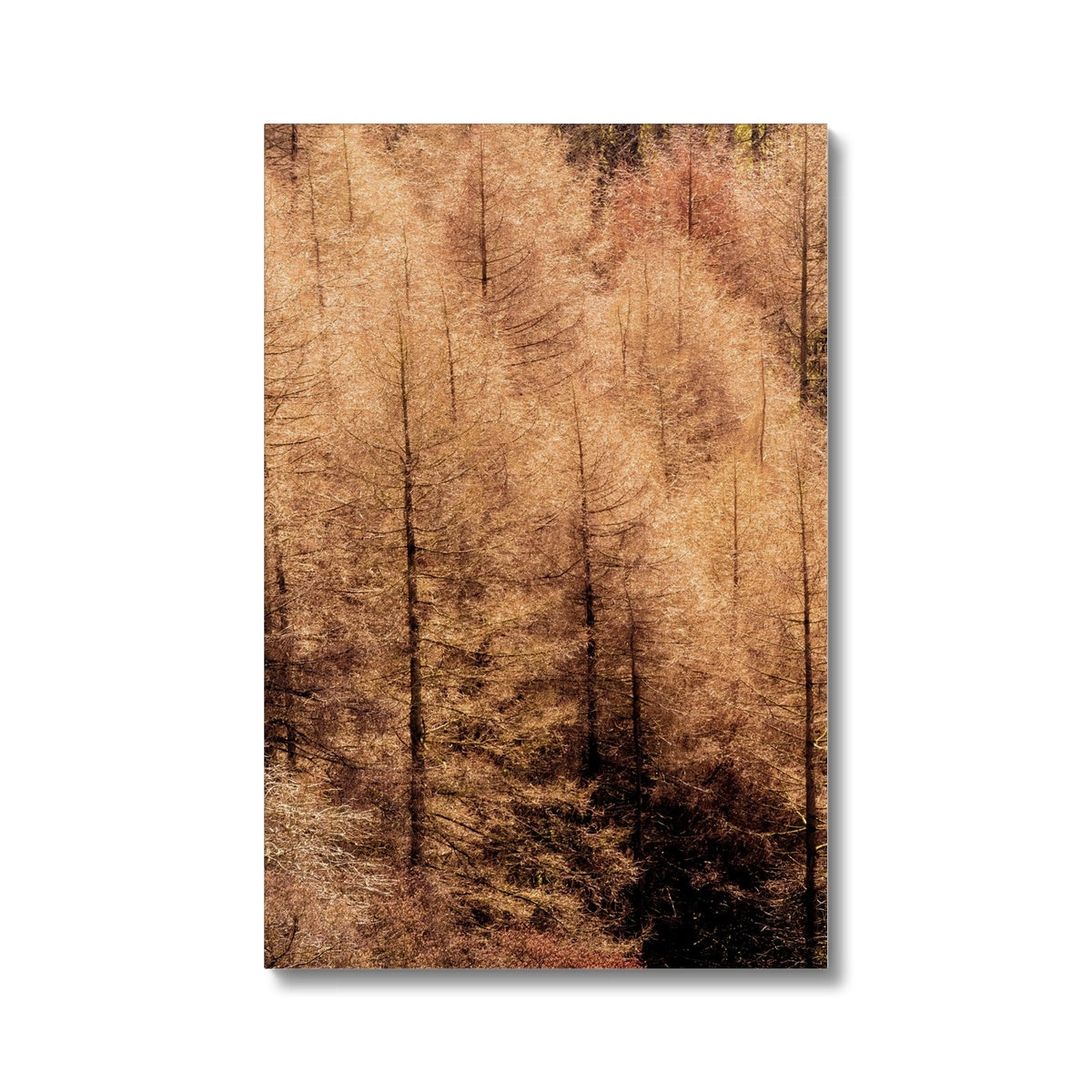 Winter trees Canvas