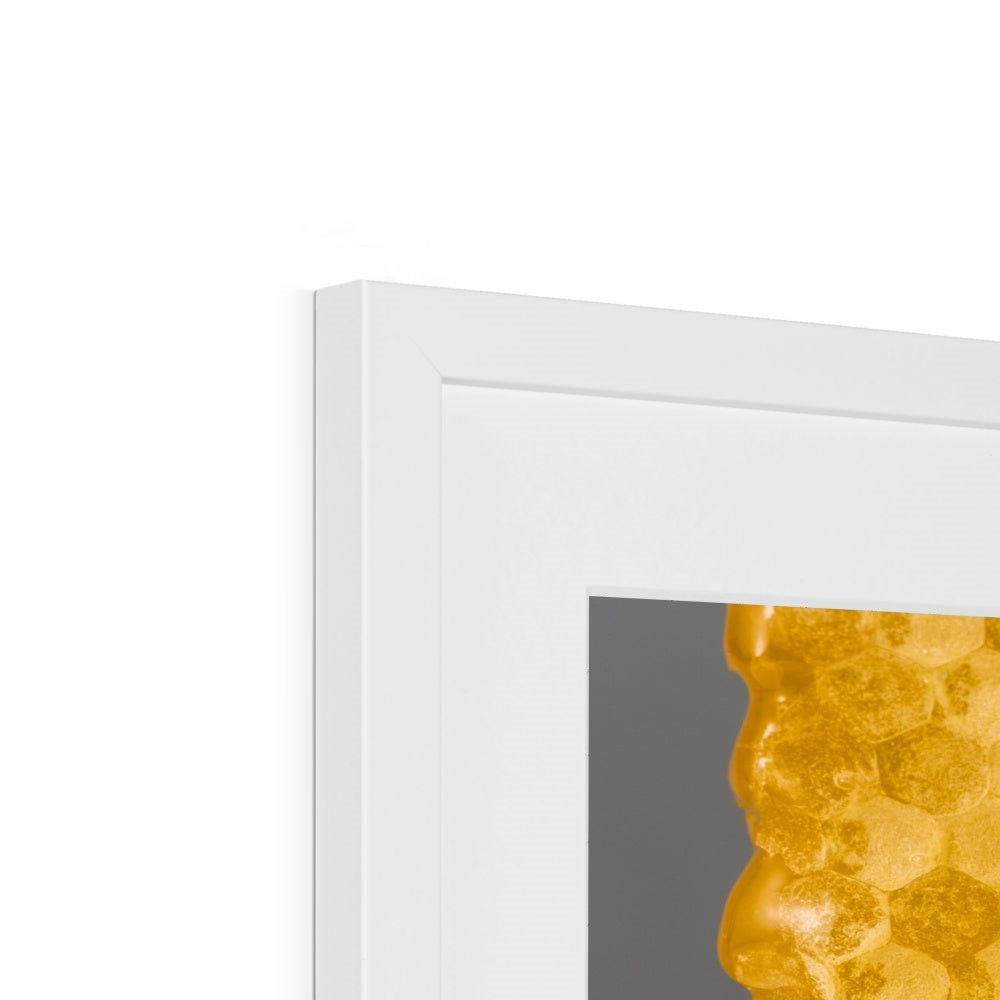 Natural honeycomb full of honey Framed & Mounted Print