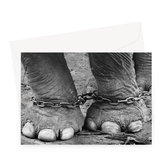Chained elephant feet Greeting Card
