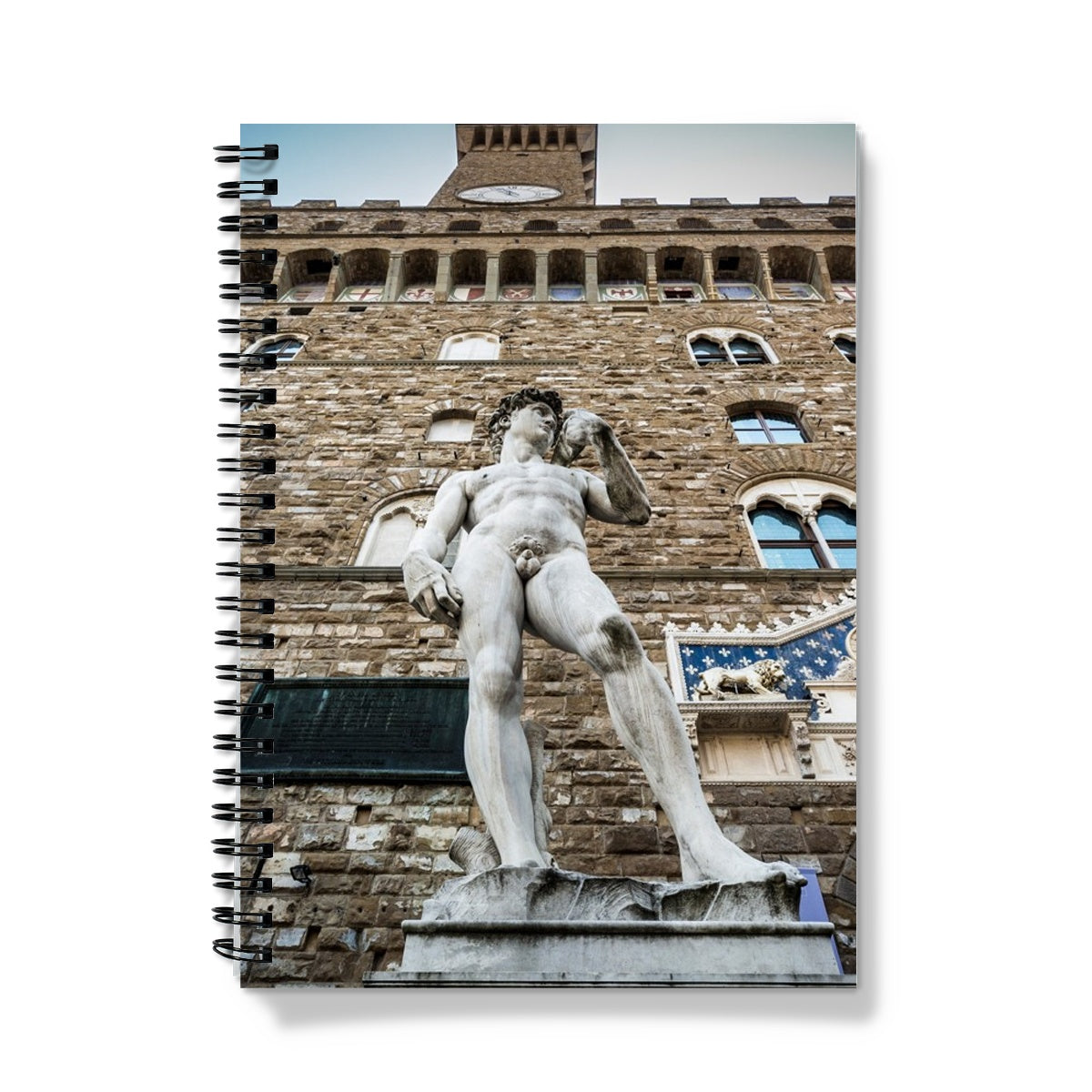 Statue of David overlooking Piazza della Signoria, with Palazzo Vecchio behind. Florence, Italy. Notebook